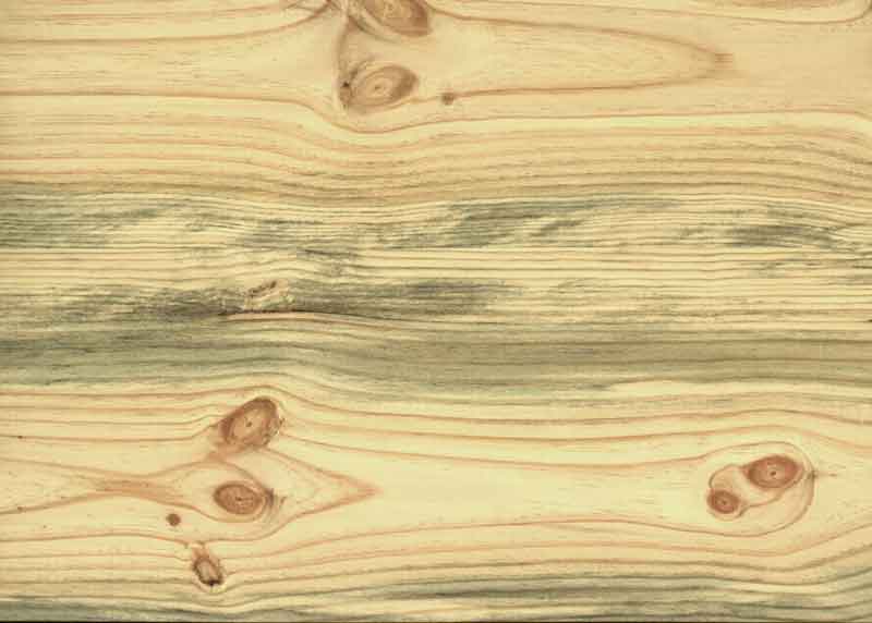 Denim-Pine_web