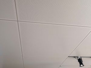 IMG_20191008_102236-2web