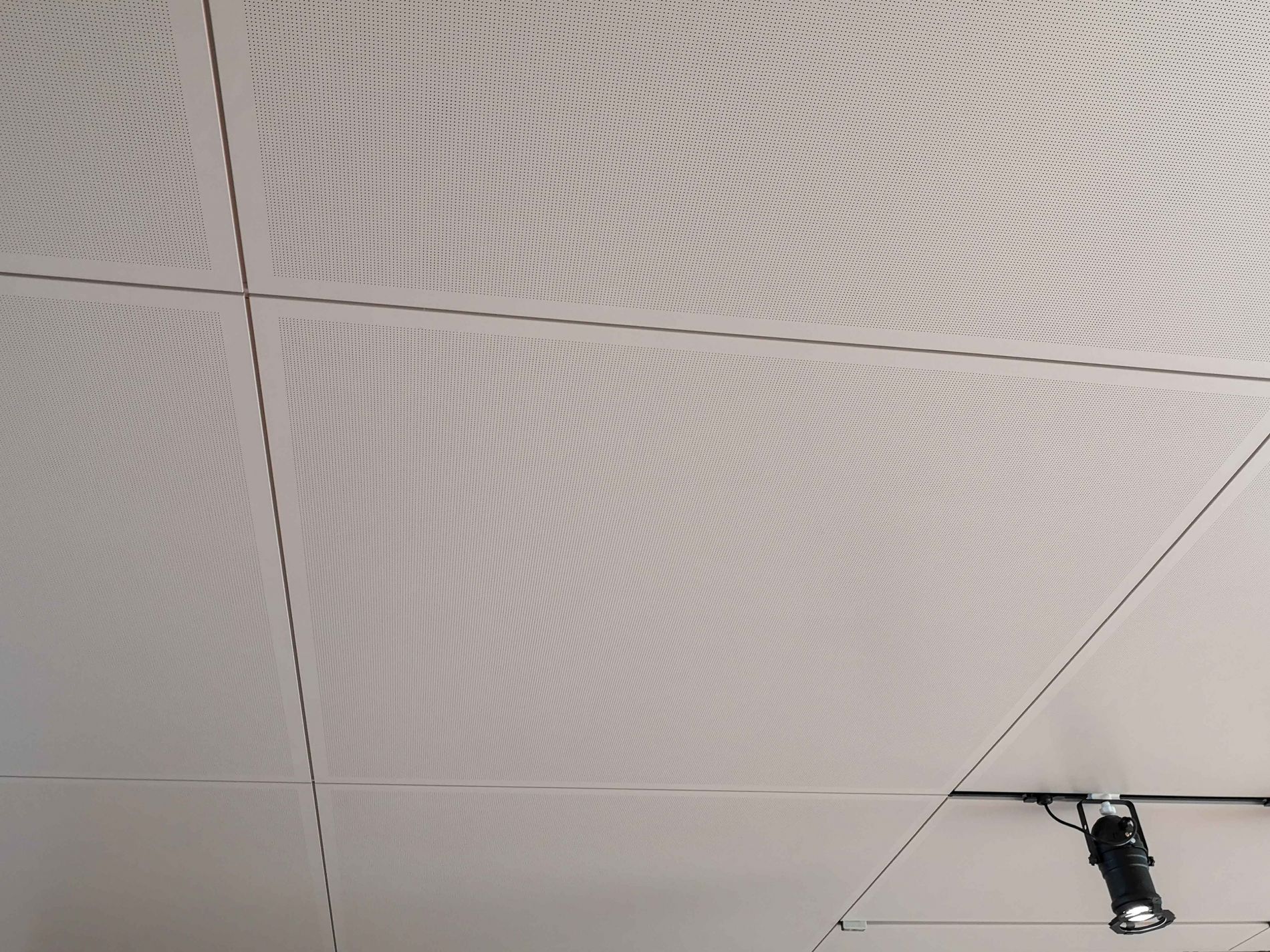 IMG_20191008_102236-2web