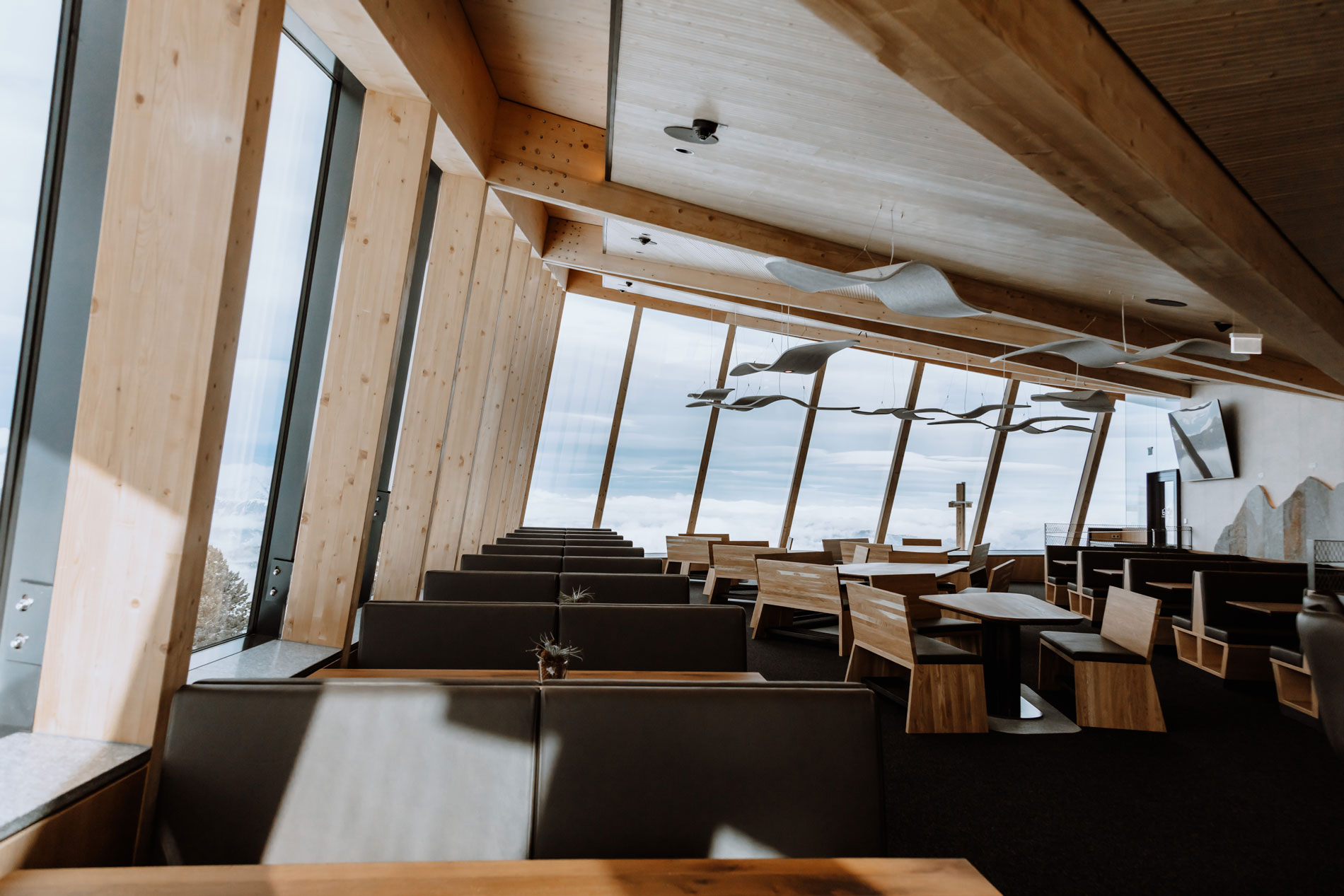 TRIKUSTIK_Eagle_Kreischberg®martina-haller-(2)